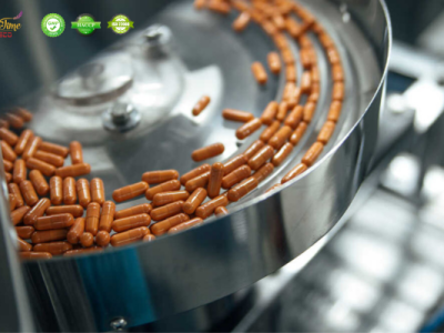 Quy trình dây chuyền sản xuất viên nen bao phim