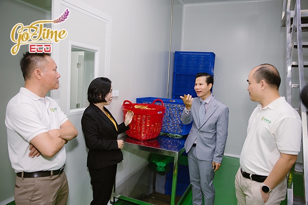 Gia công thực phẩm chức năng giải độc gan GOTIME ECO