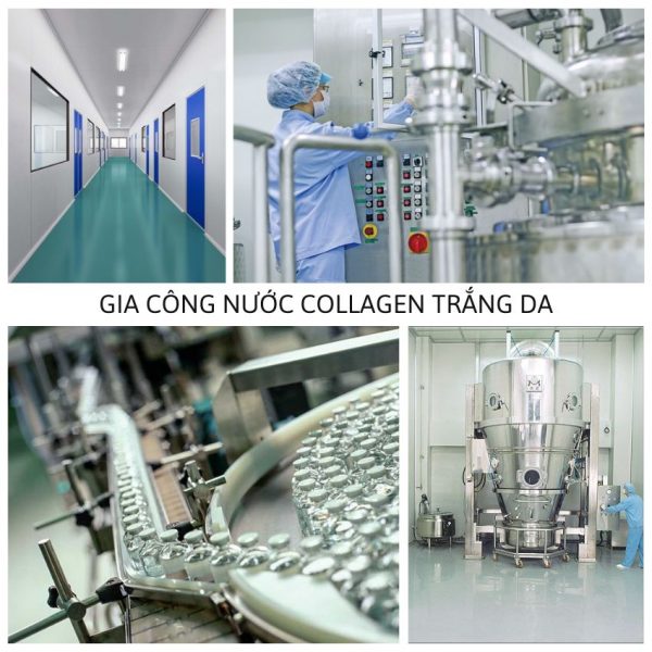 Gia công thực phẩm bổ sung nước Collagen trắng da quy trình khép kín