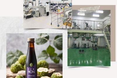 Nhà máy gia công thực phẩm bảo vệ sức khỏe nước nhàu lên men